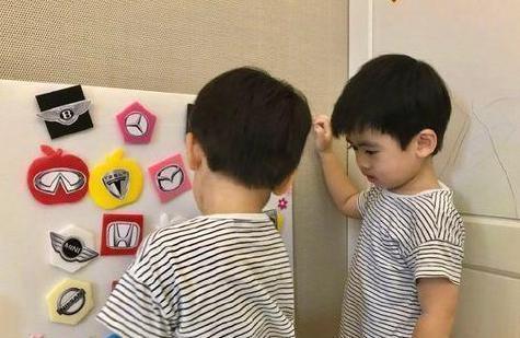 林志颖双胞胎照片近照,兄弟俩颜值爆表引网友热议！”