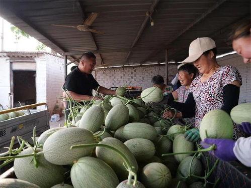 718sx吃瓜娱乐去哪里了,探寻消失的瓜圈传奇