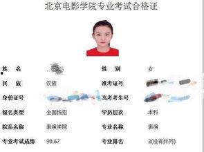 当今娱乐圈的发展,新时代娱乐产业的崛起与挑战